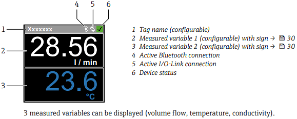 Infographic - Endress+Hauser Picomag Electromagnetic Flowmeters